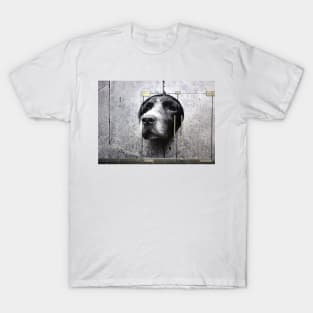 DOGS ARE NOT JUST FOR CHRISTMAS T-Shirt